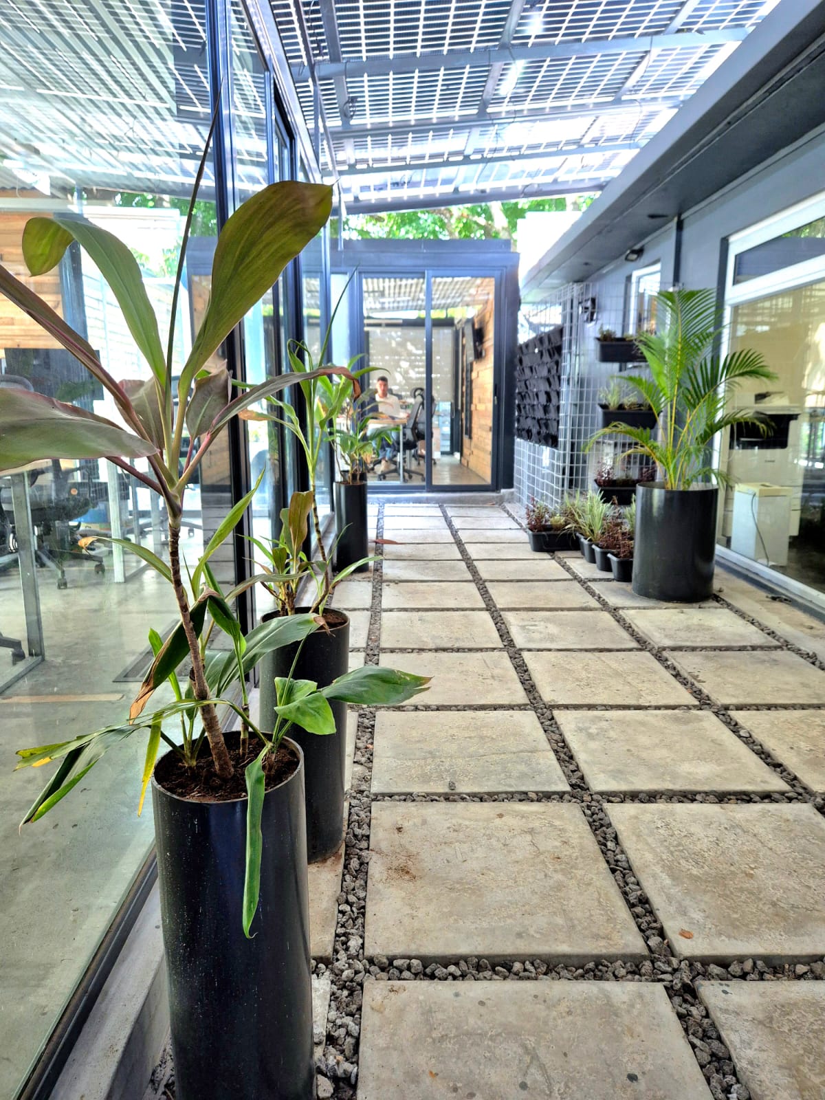 484093039_1115365553725286_3642679161103775993_n