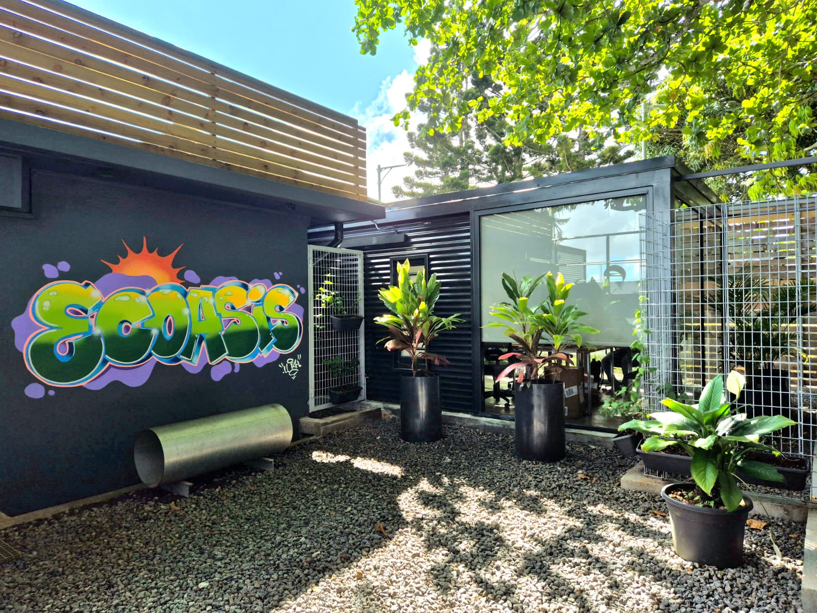 484509281_1115365587058616_1039294736460424678_n