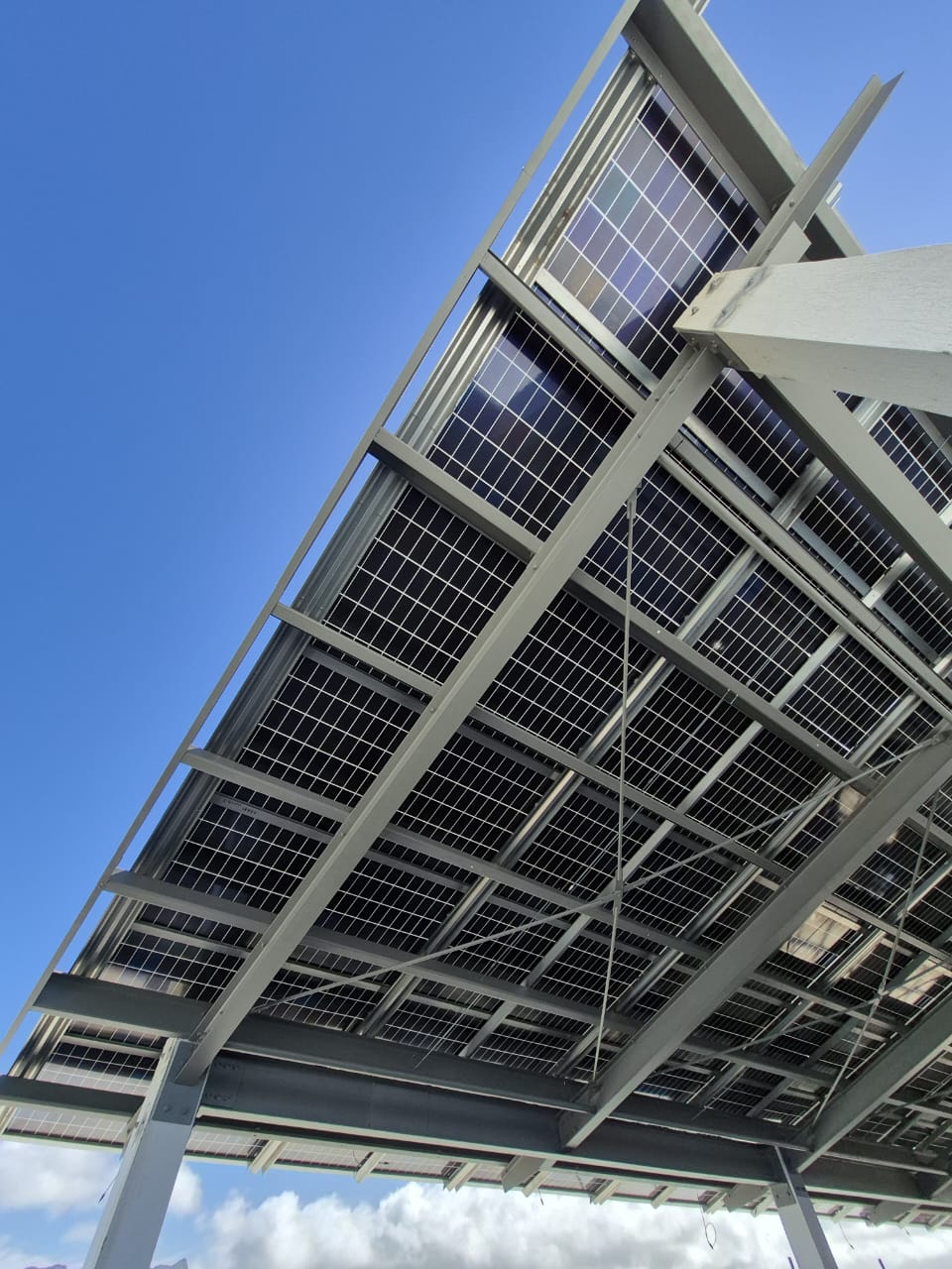 488523861_1131153922146449_7129581128473795886_n