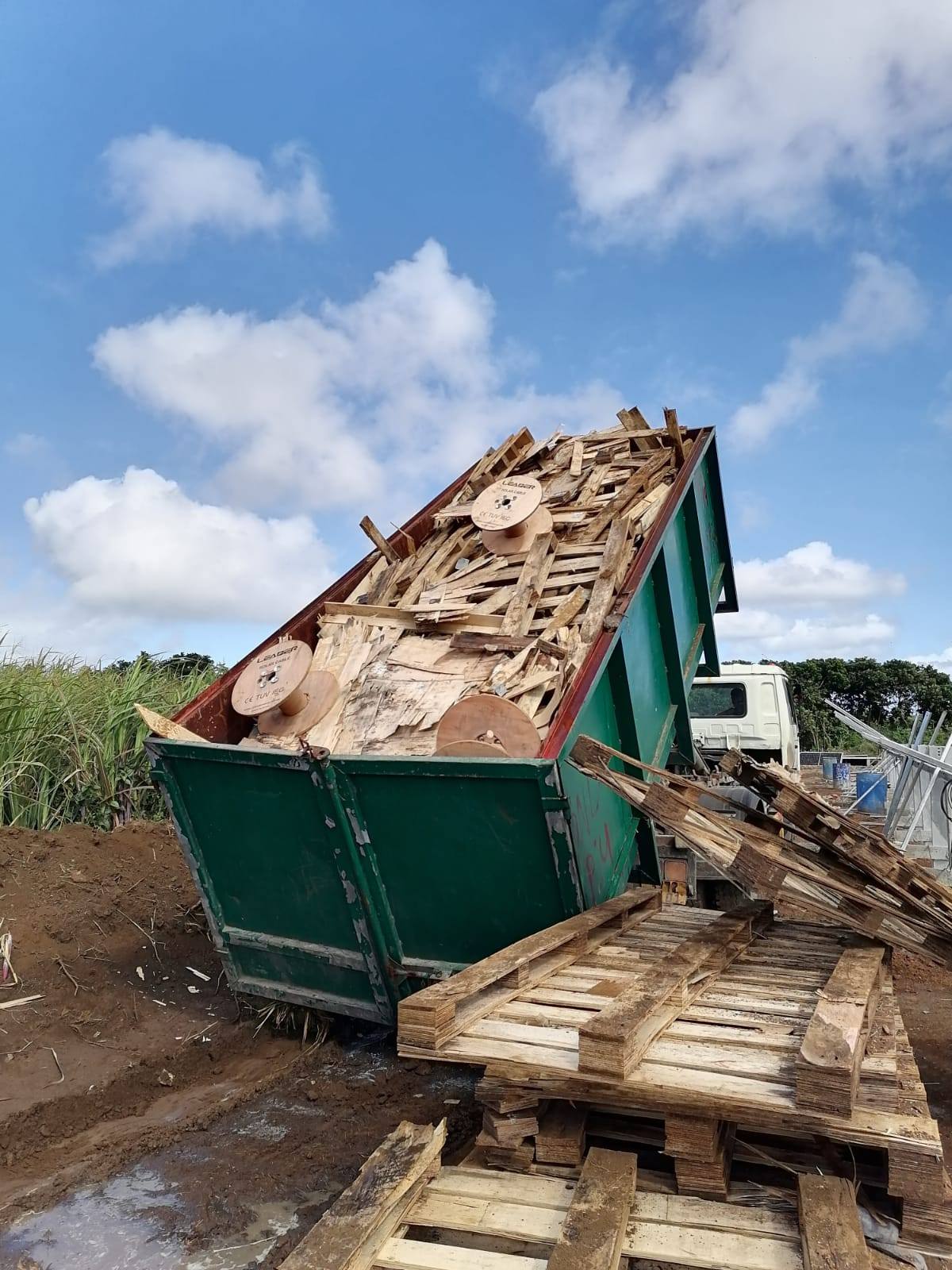 504210351_1176668060928368_6829628645052089471_n