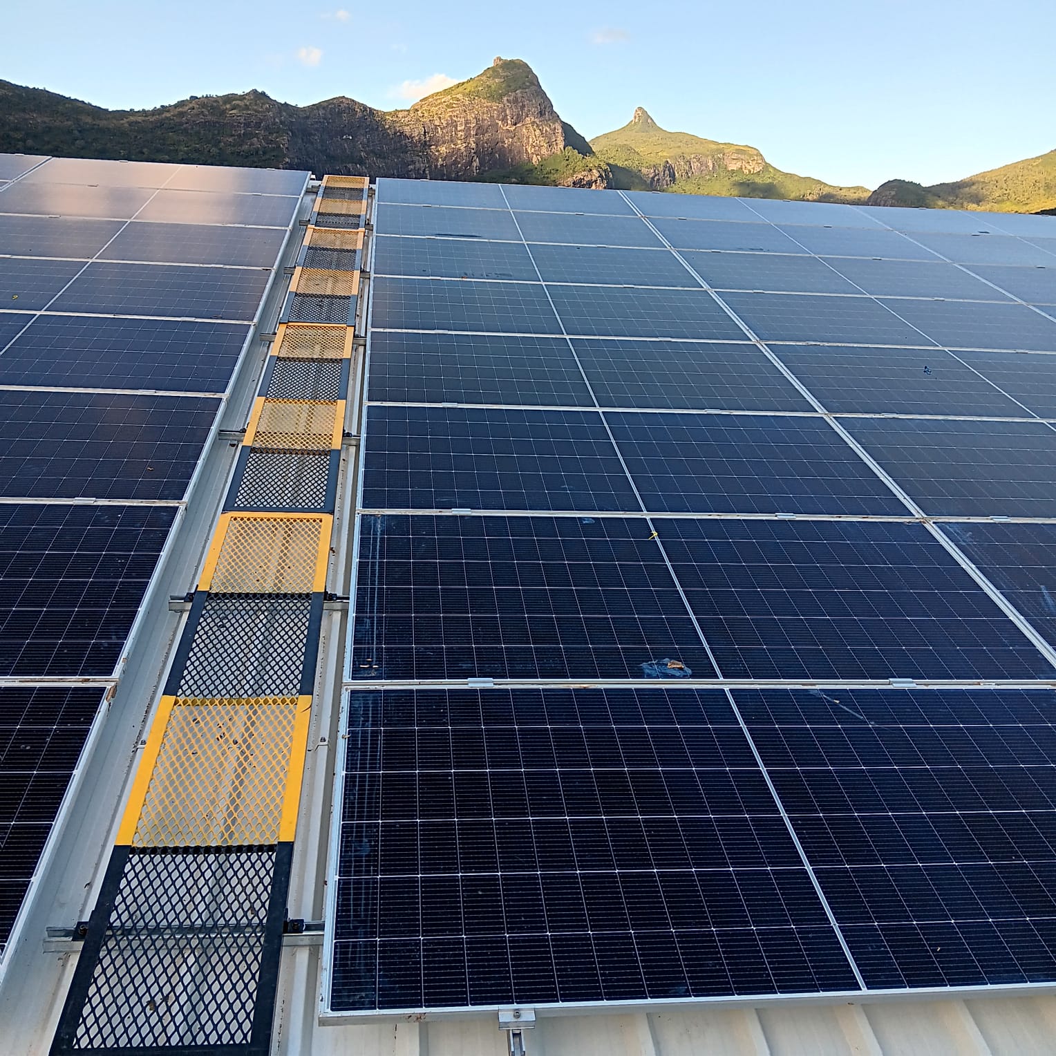 546851939_1254407659821074_4742003007608088055_n